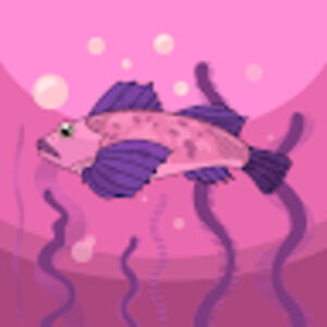 Meet your Posher, Rob and ava